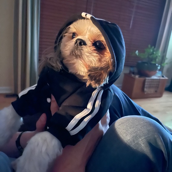 Meet your Posher, Jacksyn - Picture 11 of 16